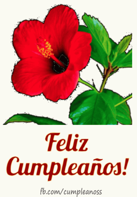 Feliz cumpleaños