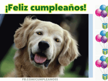 ¡Feliz cumpleaños!