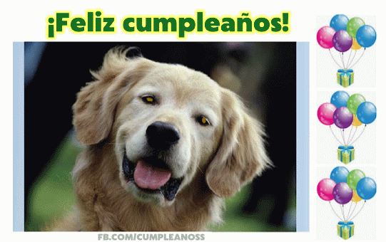 Animales lindos – Tarjetas de felicitación de cumpleaños, Gifs